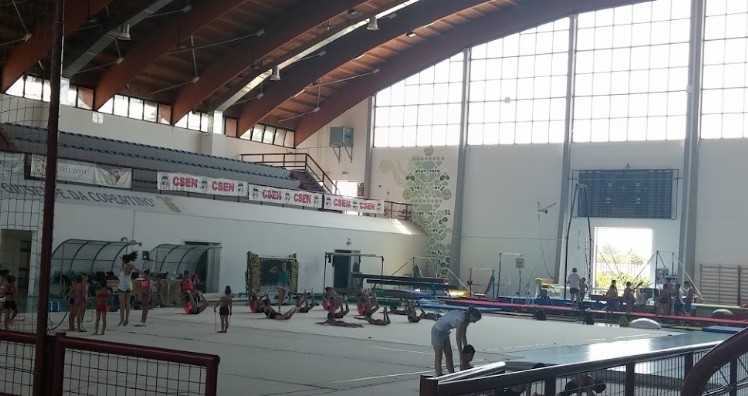 Parte il Campionato individuale Silver, Iris presente con nove ginnaste